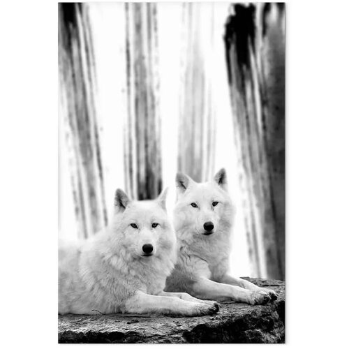  Slika - Forest Love (1 Part) Vertical 20x30 Na talijanskom platnu Slike