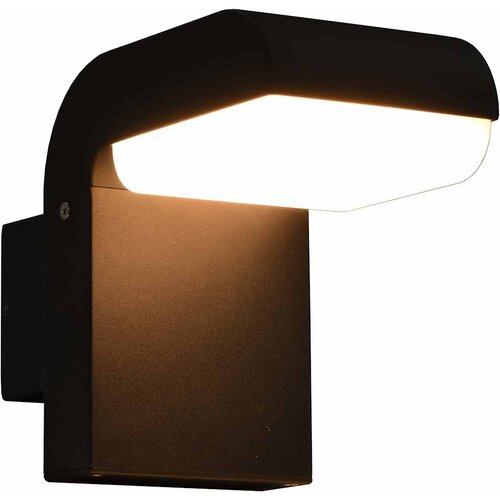  Vanjska LED zidna svjetiljka 9 W crna ovalna Slike