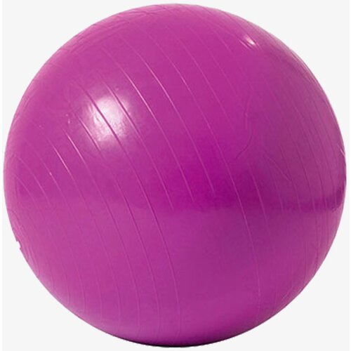 Capriolo Fitnes lopta Lopta za pilates 65cm Slike