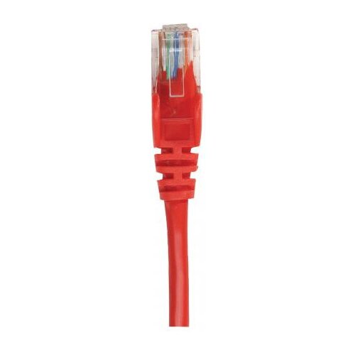 Intellinet 738859 kabel za omrežno povezovanje Rdeča 0,25 m Cat6 U/UTP (UTP) Slike