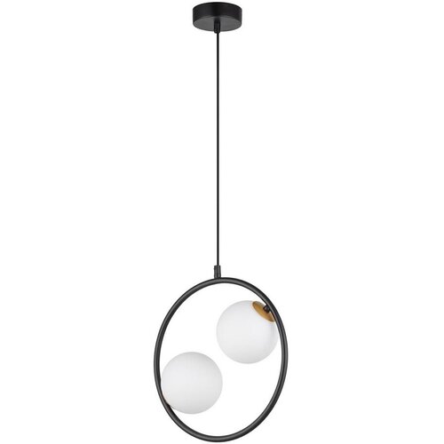  Luster na sajli AQUA 2xG9/12W/230V crna Cene