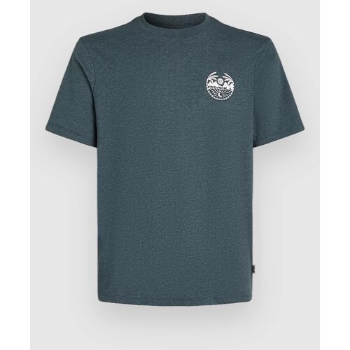 O'neill Back Print T-shirt alma steel melange Cene