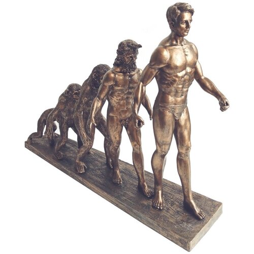Signes Grimalt Evolucija Figura Čovjeka Gold Slike