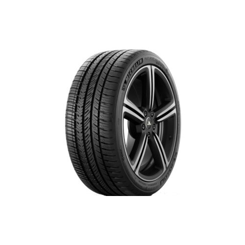 Michelin Pilot Sport A/S 4 ( 315/35 R20 110V XL, ND0 ) letna pnevmatika Slike