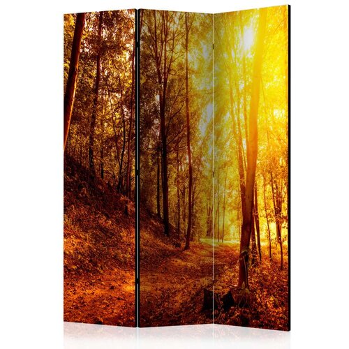  Paravan u 3 dijela - Autumn Walk [Room Dividers] 135x172 Slike