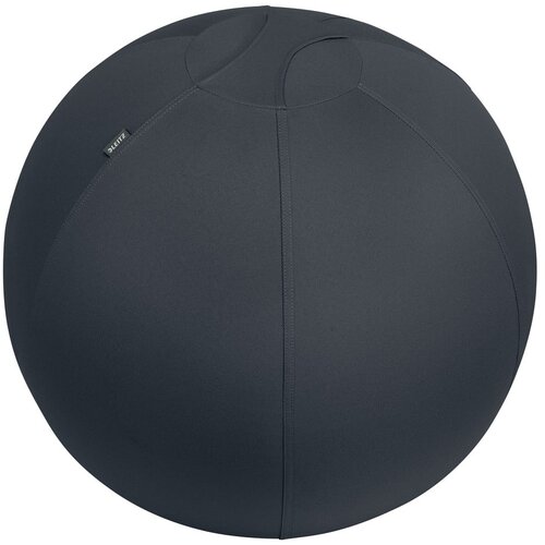 Leitz Ergonomska lopta za sjedenje s utezima ø 65 cm Ergo - Cijene