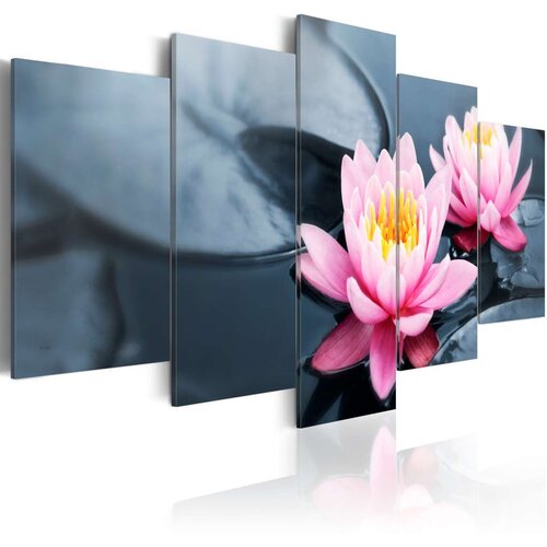  Slika - Waterlily dream 200x100 Slike