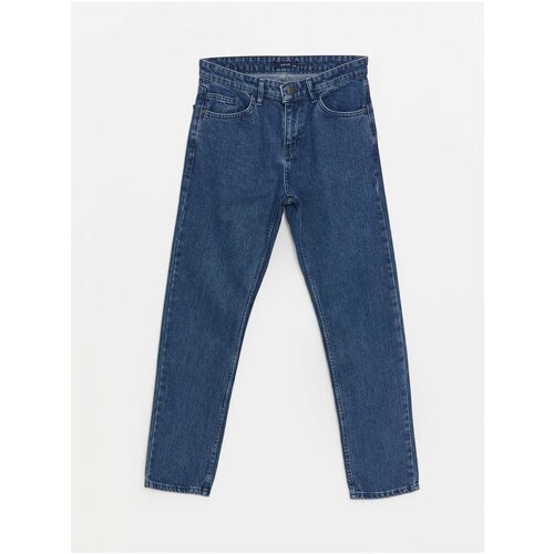 LC Waikiki 779 Regular Fit Men's Jeans Cene