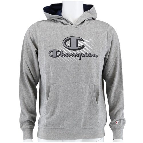 Champion Graphic Shop Logo Siva Slike