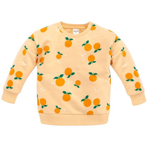 Pinokio Sweatshirt Fruit&Sun Cene