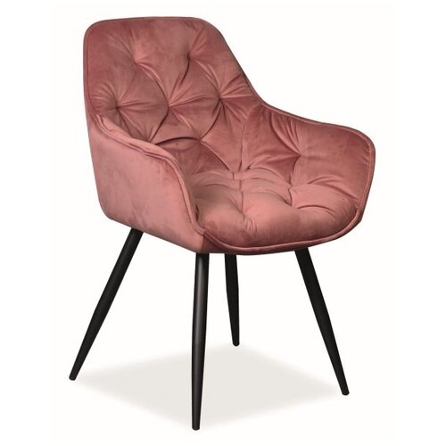 Molarem Home Stolica Cherry-roza Cene