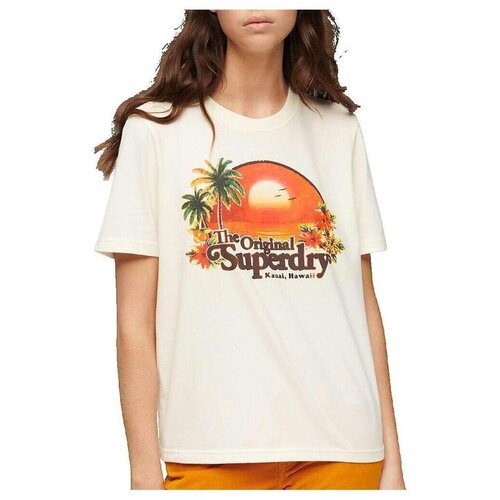 Superdry Majice s kratkimi rokavi T-shirt Travel Souvenir Relaxed Bež Cene