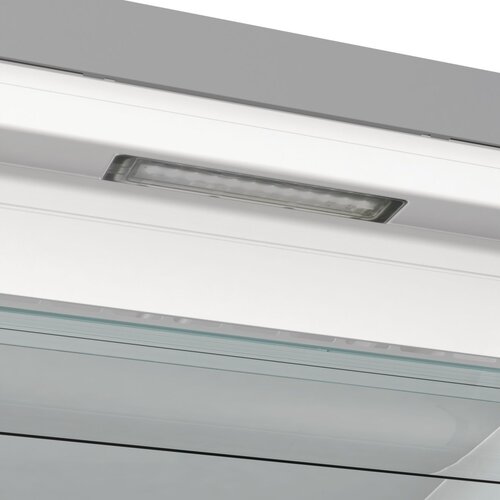 Gorenje zamrzovalna omara FN619EAXL6 Slike