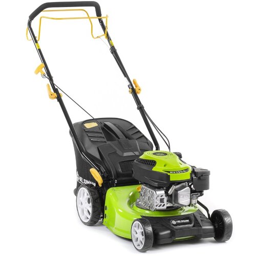 Fieldmann motorna kosačica FZR4210-B Cene