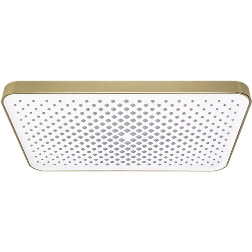 Rea Pravokotna naglavna prha JS-032 Brushed Gold Cene