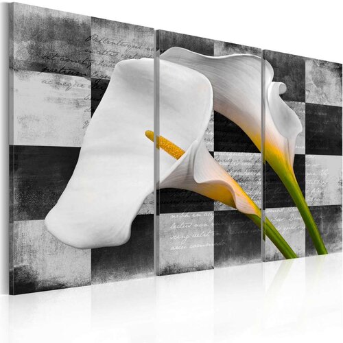  Slika - callas (vintage) 90x60 Slike
