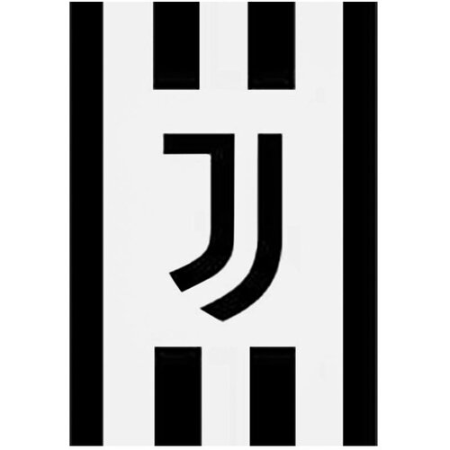 Drugo Juventus odeja 150x200 Cene