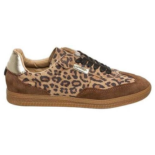 Steve Madden leopard ženske patike Cene