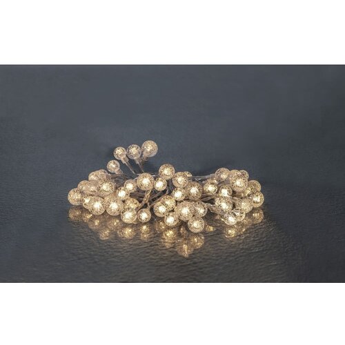 Star Trading Vanjska rasvjeta LED lanac Berry, dužine 5 m Cijene