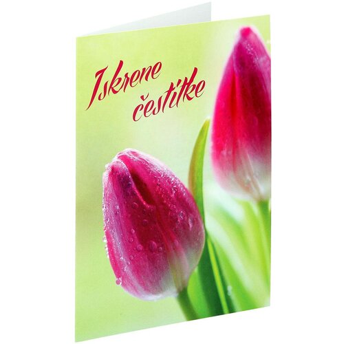  SB Čest Classic Tulipani Slike