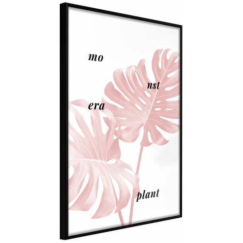  Poster - Pale Pink Monstera 40x60