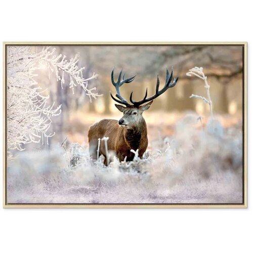  Slika - Deer in the Cold 60x40 U prirodnom drvenom okviru Cene