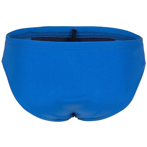 Arena mu&amp;scaron;ki kupaći team swim briefs solid Slike