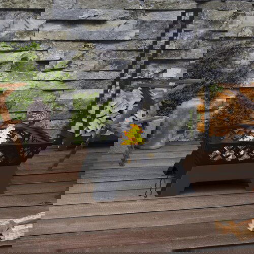 vidaXL Kurišče z grebljico 50 cm XXL jeklo Cene