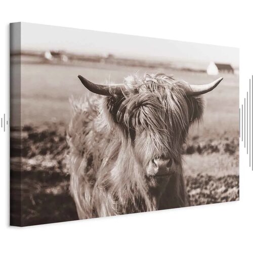  Slika - A Scottish Cow in Sepia 120x80 Akustična Cene
