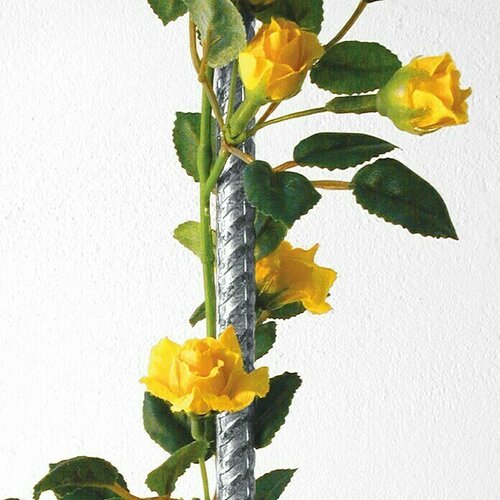 BELLISSA &amp;Scaron;tap za biljke (180 cm, Promjer: 10 mm) Slike