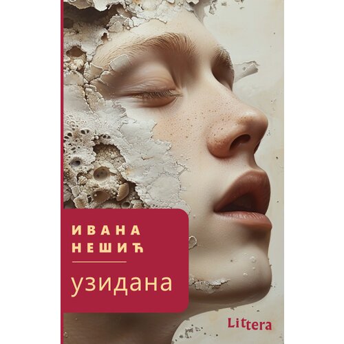 Čarobna knjiga Ivana Ne&amp;scaron;ić - Uzidana Slike