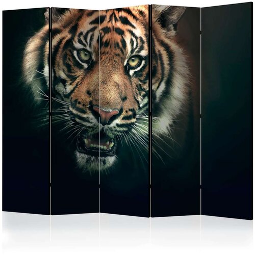  Paravan u 5 dijelova - Bengal Tiger II [Room Dividers] 225x172 Slike