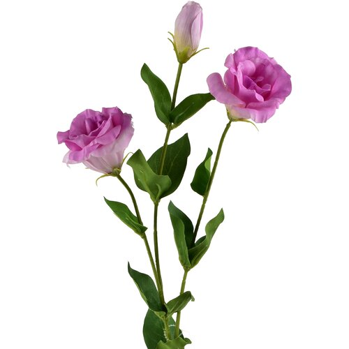 Mondex umetni cvet plastika Viridis Eustoma 70cm zelen 1kos, (5000310802) Slike