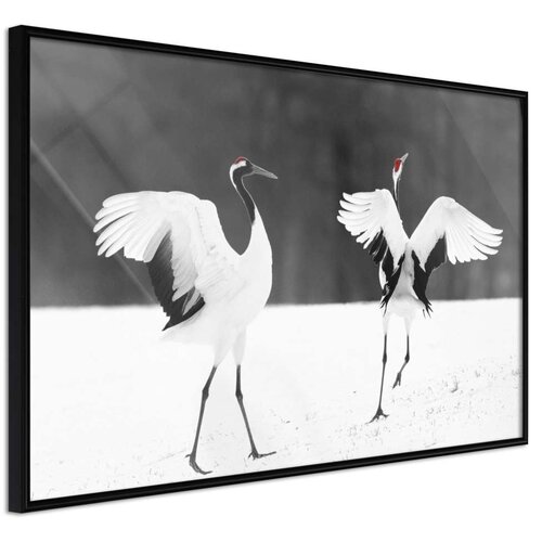  Poster - Bird Date 30x20 Slike
