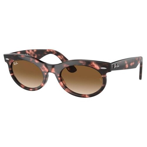 Ray-ban RB2242 133451 L (53) Havana/Rjava Slike