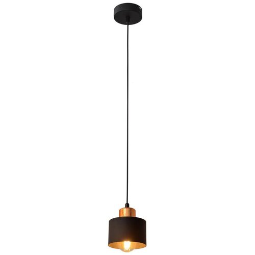  Luster na sajli EDISON 1xE27/15W/230V Cene