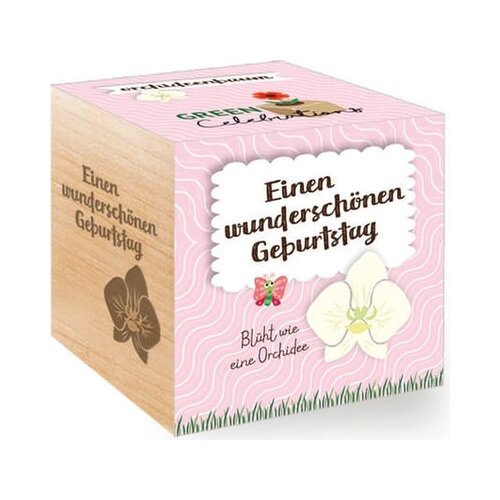 Feel Green Green Celebrations "Bauhinia purpurea" za rojstni dan Cene