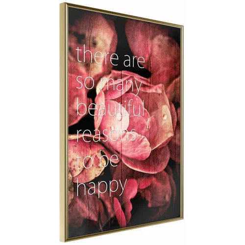  Poster - Many Reasons to Be Happy 20x30