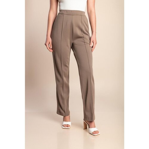 Fenzy Plus Size Hlače Z Elastiko, Rjave Cene