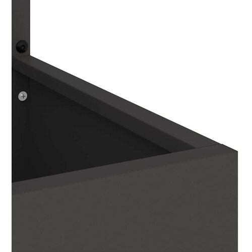  Privatnost u vrtu Crna 50 x 32 x 150 cm Hladno valjana čelična Slike