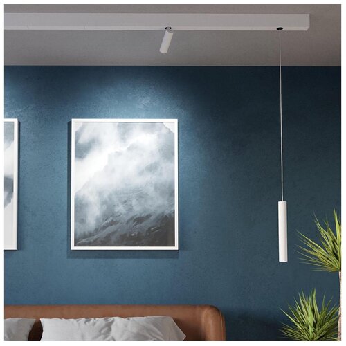 Eglo 98812 - led luster na sajli za &amp;scaron;inski sistem tp LED/9W/230V Slike