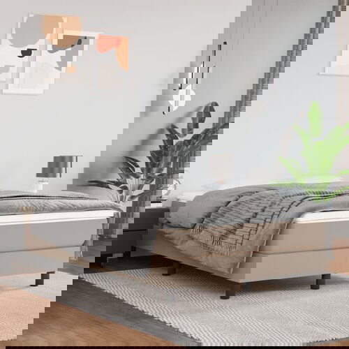 vidaXL Krevet s oprugama i madrac cappuccino 120x200cm od umjetne kože Cene