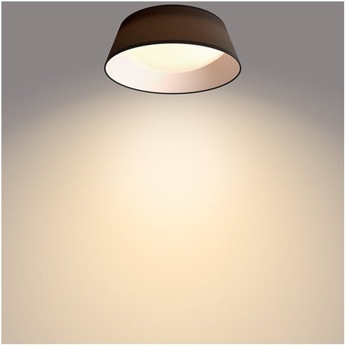 Philips PH058 plafonska svetiljka dawn crna CL258 14W 3000K Cene