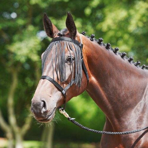 Busse Oglavka WILLOW FRINGE, črna - Pony Slike