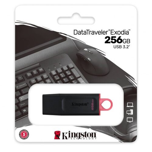 Kingston FD 256GB Cijene