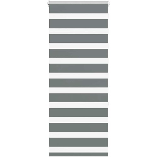 vidaXL Zebra senčilo temno sivo 65x150 cm tkanina širina 60,9 cm Cene