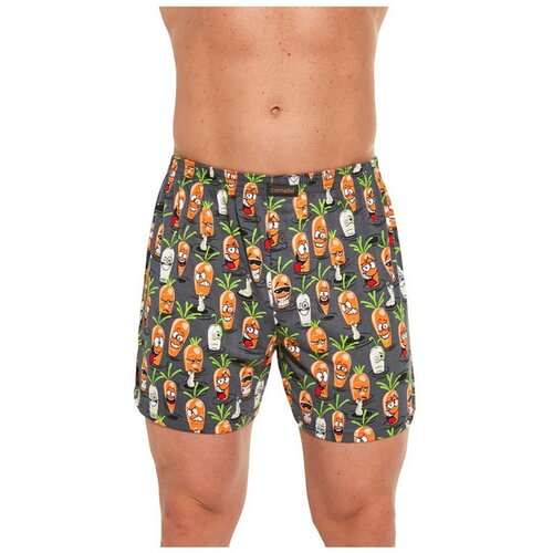 Cornette Men's shorts Classic oversized multicolored (011/129) Slike