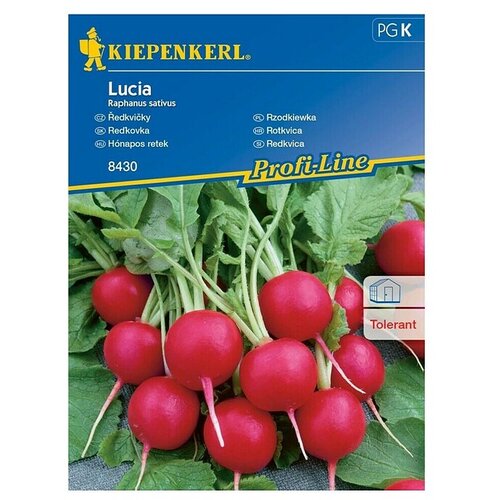 KIEPENKERL Sjeme povrća rotkvica Lucia (Raphanus sativus, Berba: Travanj, 10 m²) Cijene