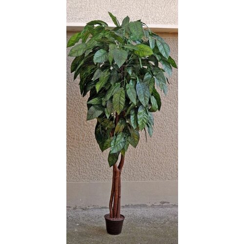 Lilium veštački mango u saksiji 165 cm 875679 Slike