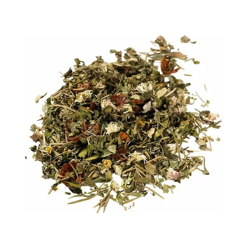 Demmers Teehaus biljni čaj "mješavina šumskih biljaka"